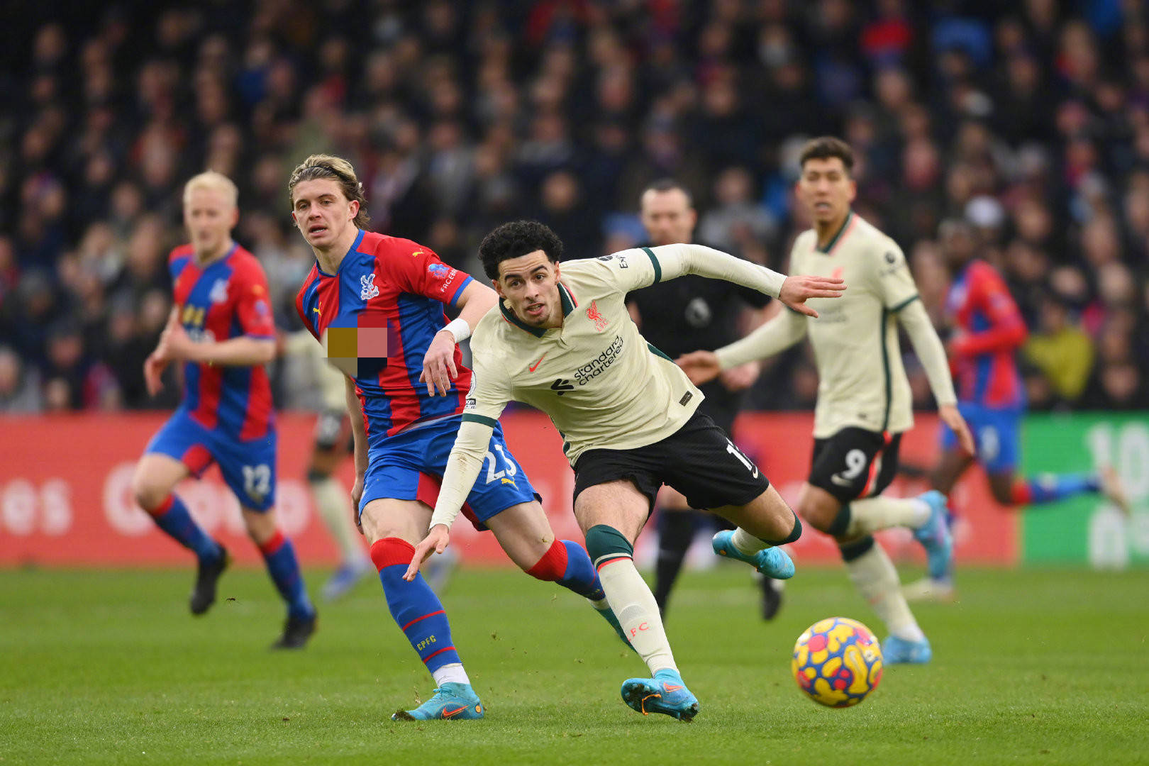 冠中有所突 冠中有所突